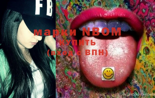 метадон Богданович