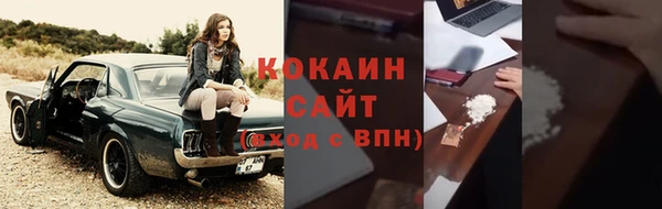 метадон Богданович