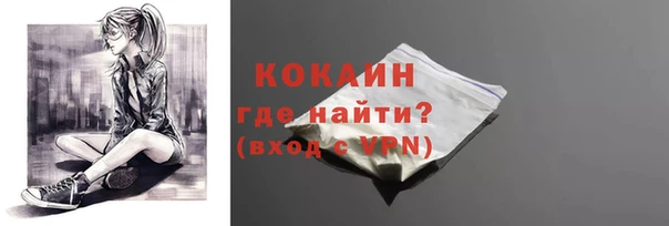 Альфа ПВП Бородино
