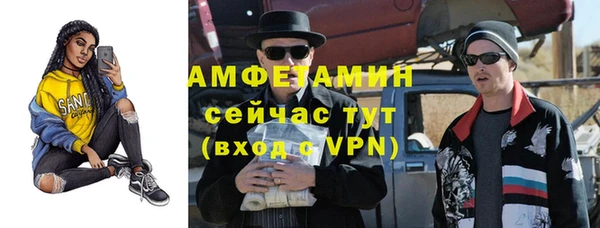 Альфа ПВП Бородино